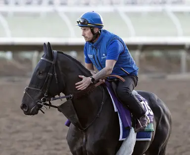 Rebel's Romance retired