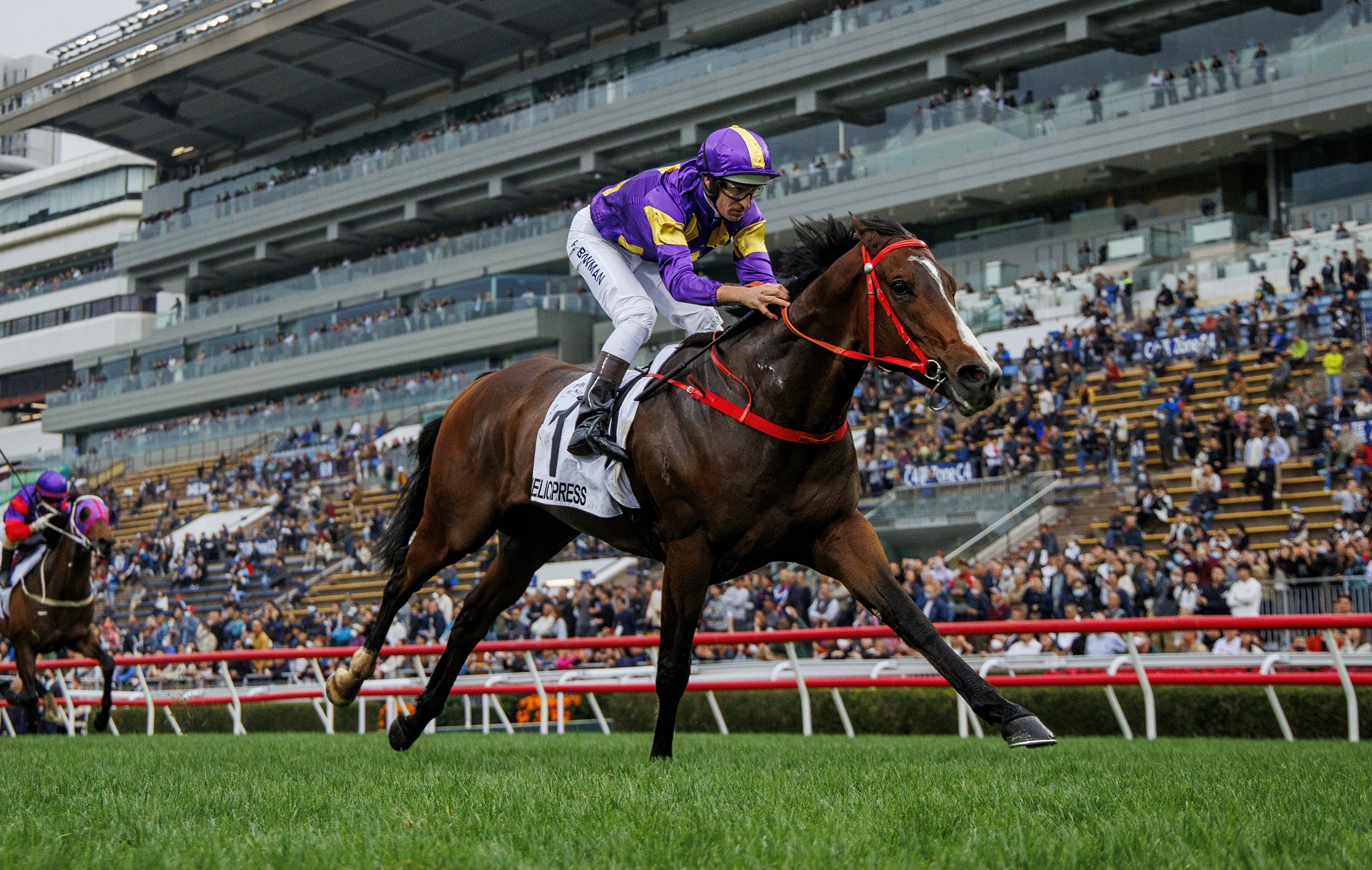Helios Express steps up for Sha Tin Trophy, Le Zonda seeks fourth