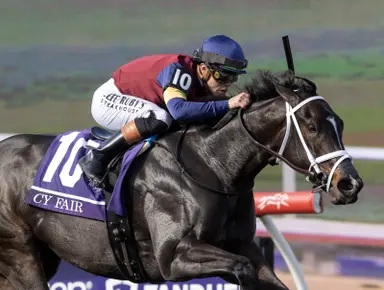 2025 Eclipse Awards: Cy Fair