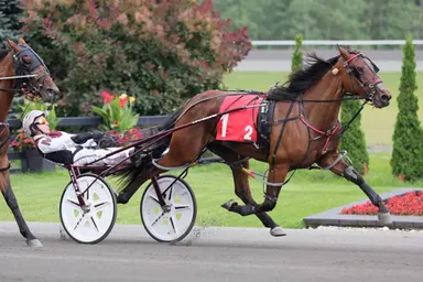 Woodbine Mohawk Park:  A Clean Deal prevails in OSS Gold Series