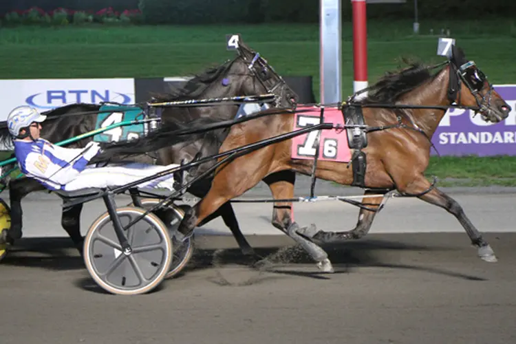 Jailbird Jog 7-25-26