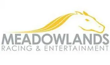 Meadowlands: Analysis for Sunday 1/18