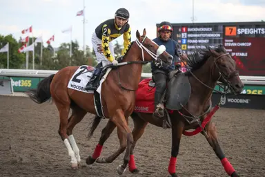 Highwaytothemoon tries to stretch speed in Plate Trial