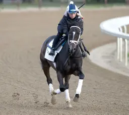 Divisional leadership on line in Coronation Cup