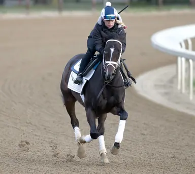 Divisional leadership on line in Coronation Cup
