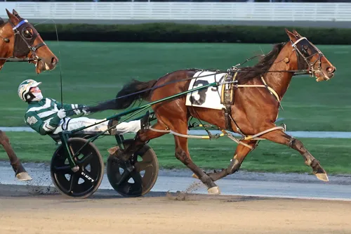 Seaside Diva 4-18-25
