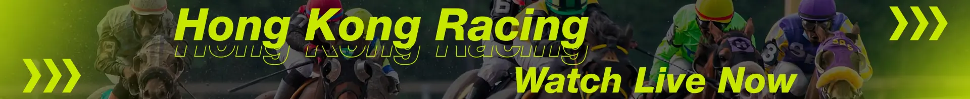Banner Image