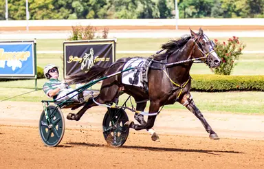 Meadowlands:  Melillo delights in Pace hopeful namesake