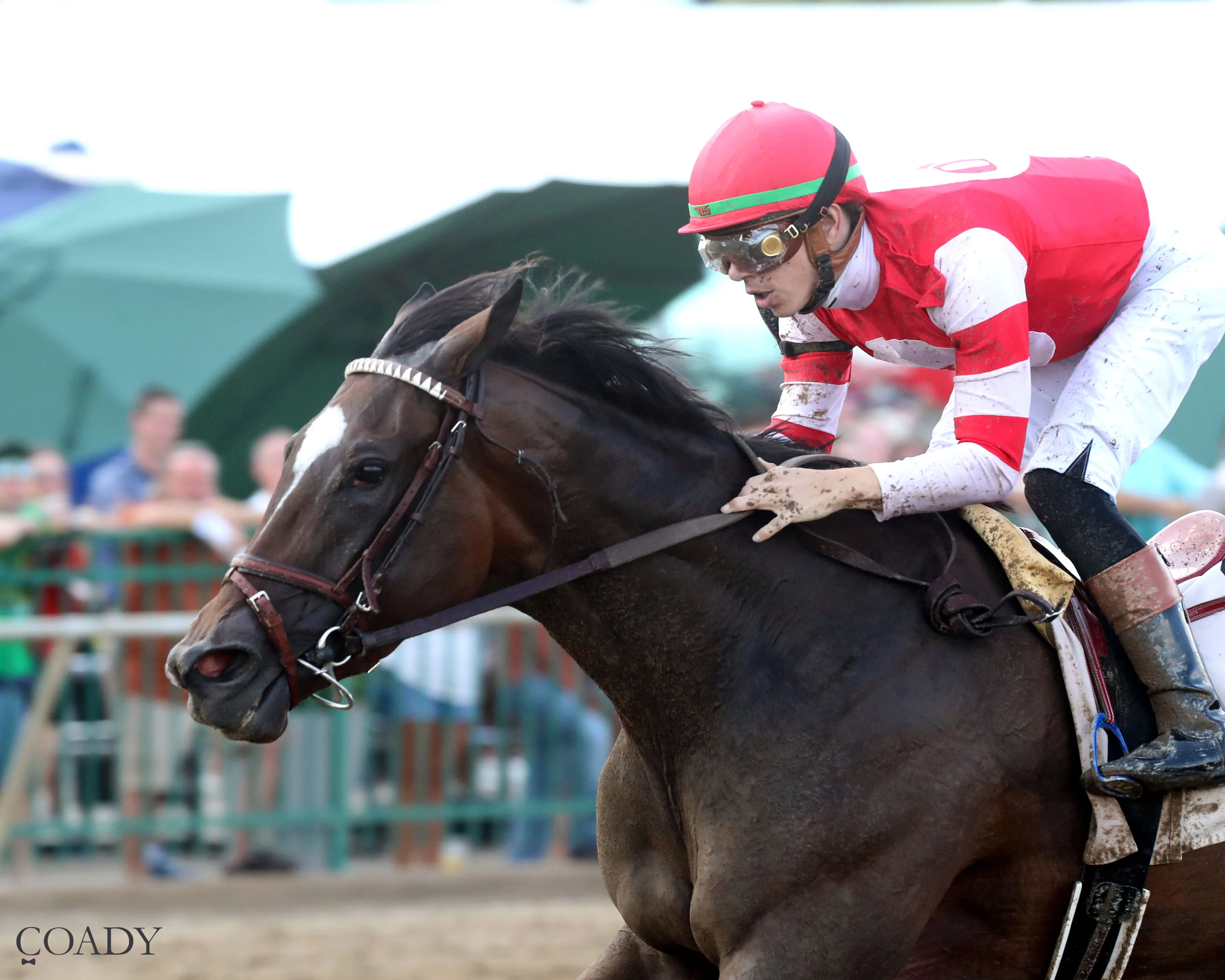 STURGEON MOON - The Audubon Oaks - 08-10-25 - R10 - Ellis Park - Inside Finish 01 - Renee Torbit.jpg