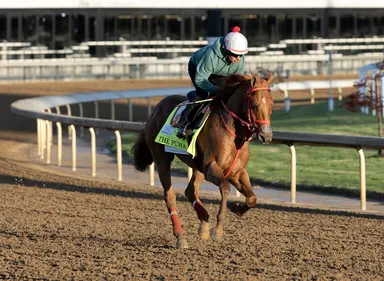 Kentucky Derby 2026: The Puma scratched due to swollen pastern