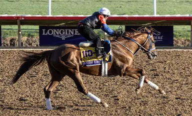 Rattle N Roll headed to Saudi Cup