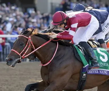Eclipse Awards 2025: Forever Young