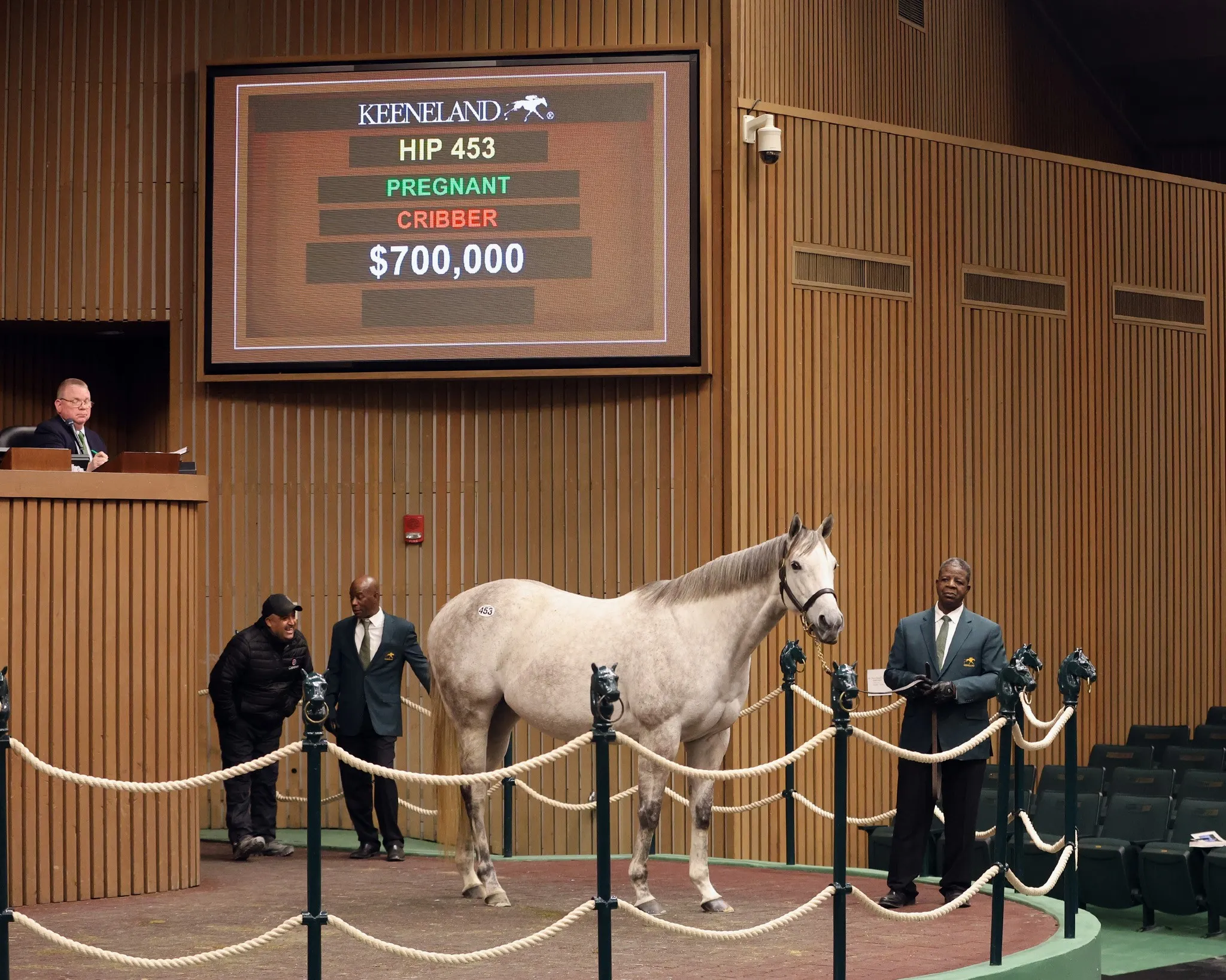 Hip 453 Pretty Birdie $700,000.jpg