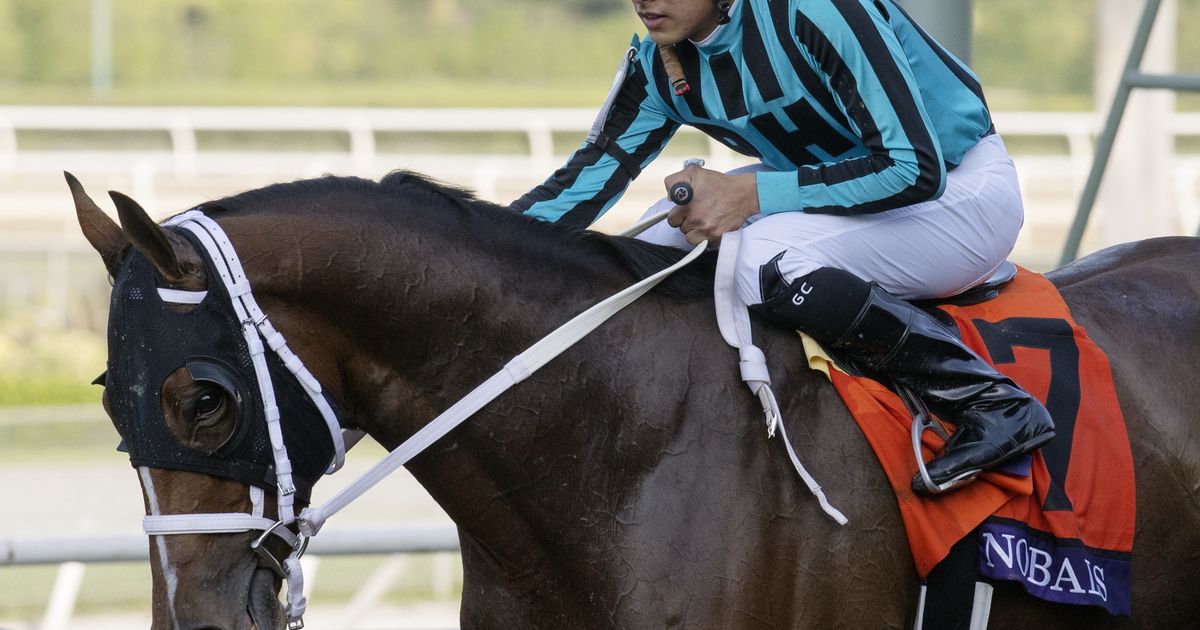 Nobals eyes Breeders’ Cup return