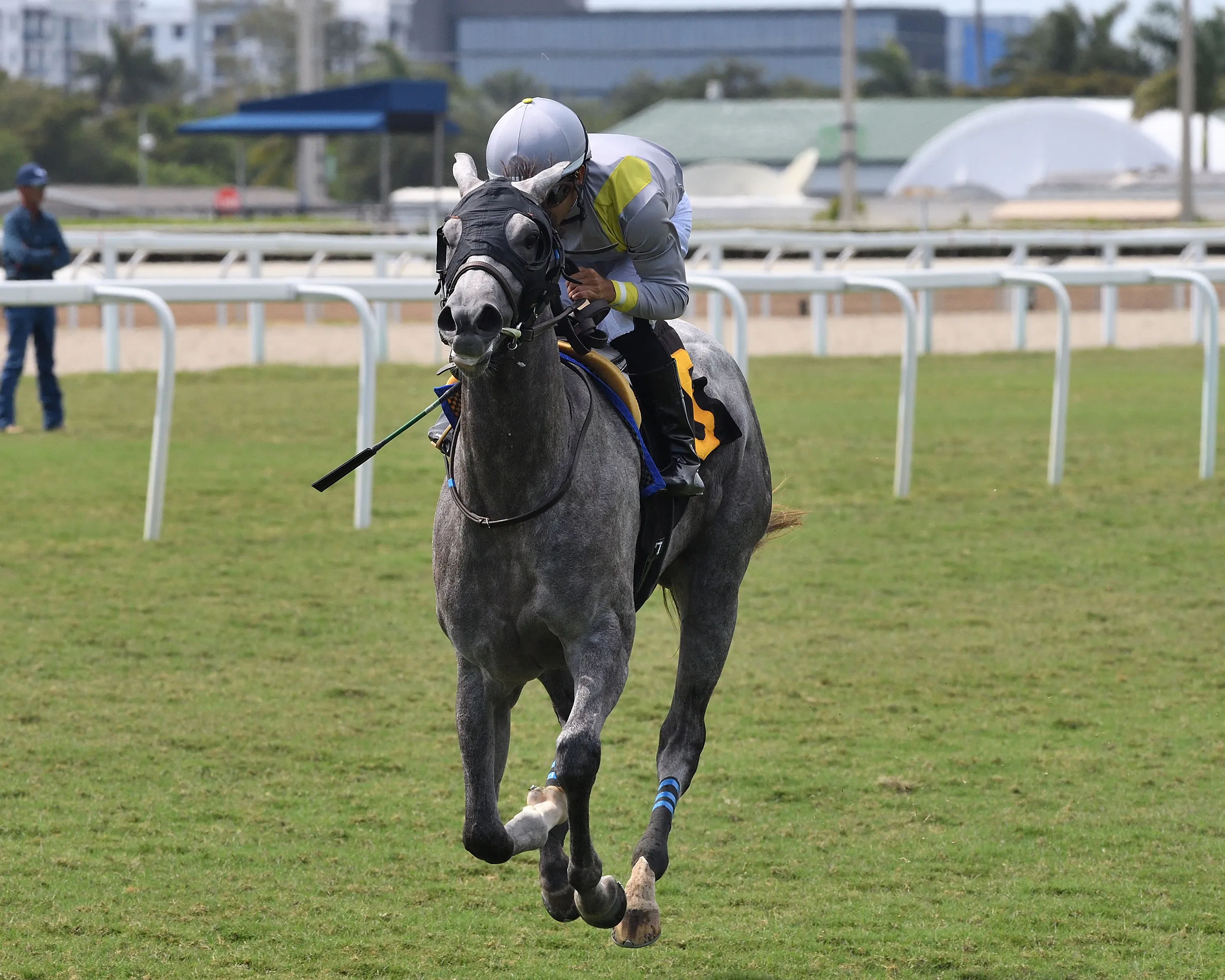 Lennilu the Royal Palm Fillies credit Ryan Thompson.jpg