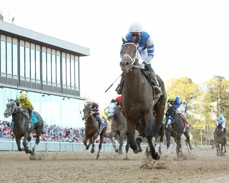 ANGEL OF EMPIRE - The Arkansas Derby G1 - 87th Running - 04-01-23 - R12 - Oaklawn Park - Under Rail 01.jpg