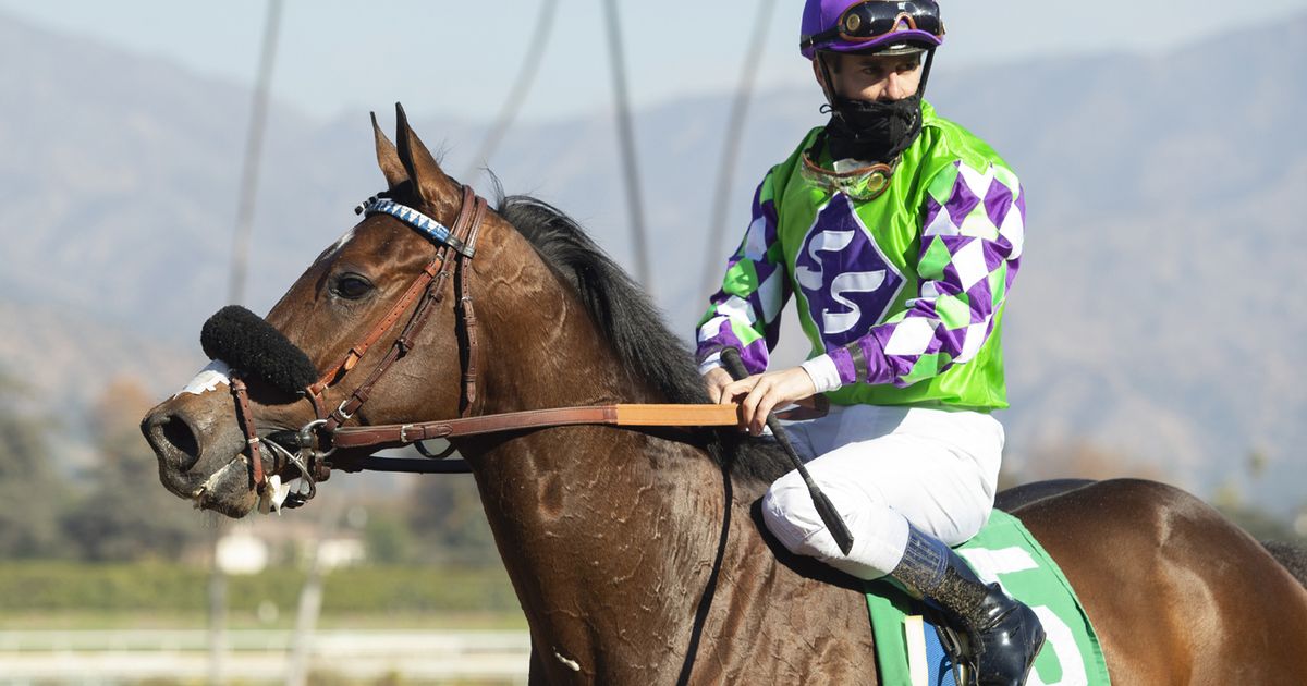 Moger sends Cathkin Peak in San Francisco Mile before move to Kentucky