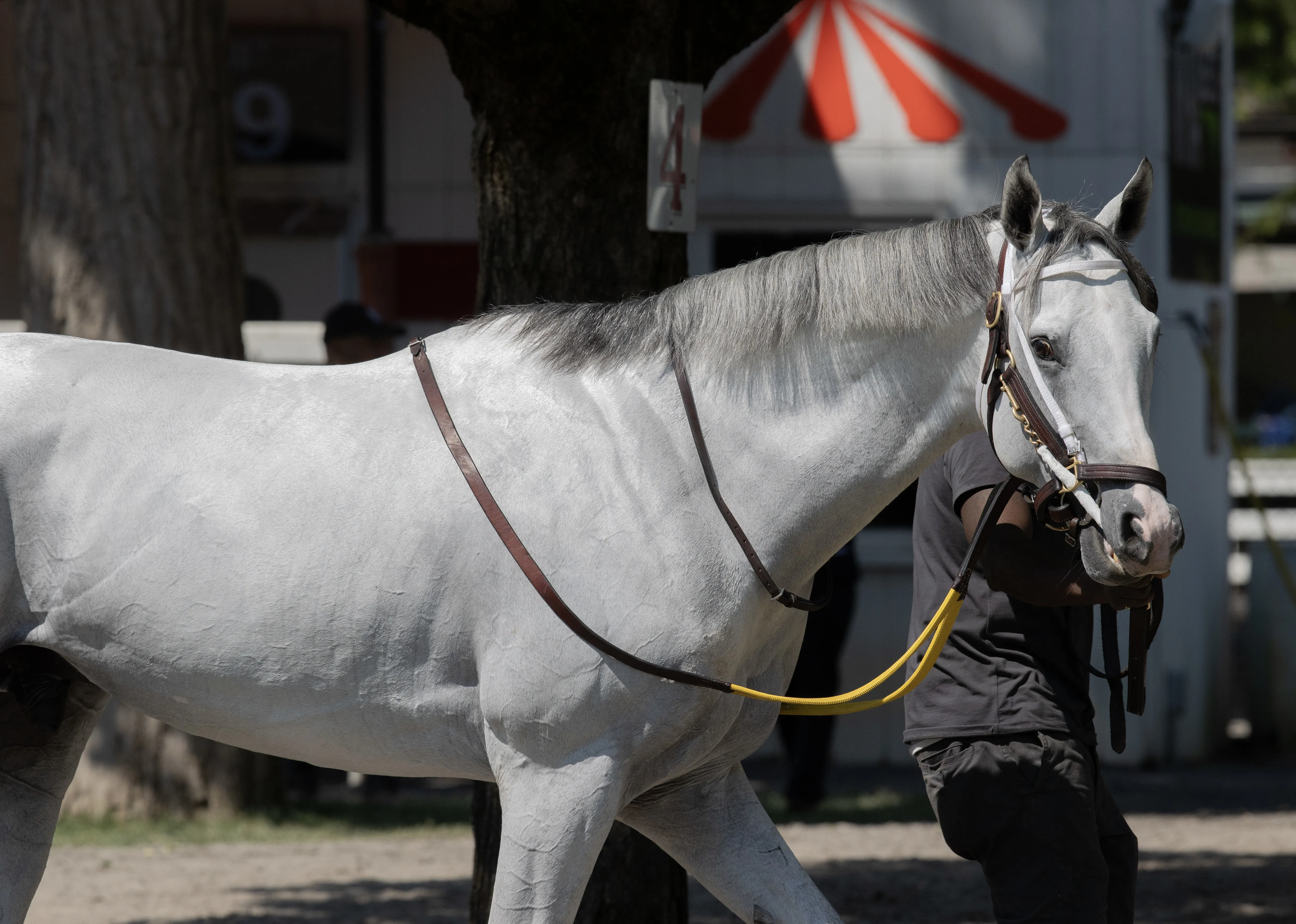 White Abarrio.7-30-25.BL_.jpg