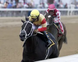 Harper’s Corner flashes speed in Schuylerville