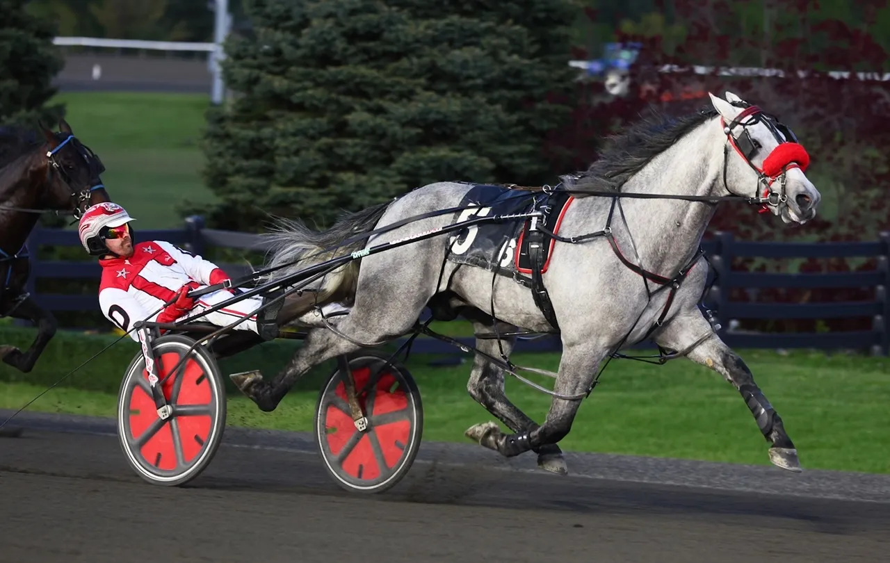 Sterling Choice OSS-New Image.jpg