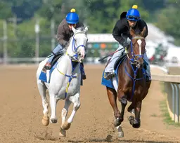 White Abarrio works uneven half-mile