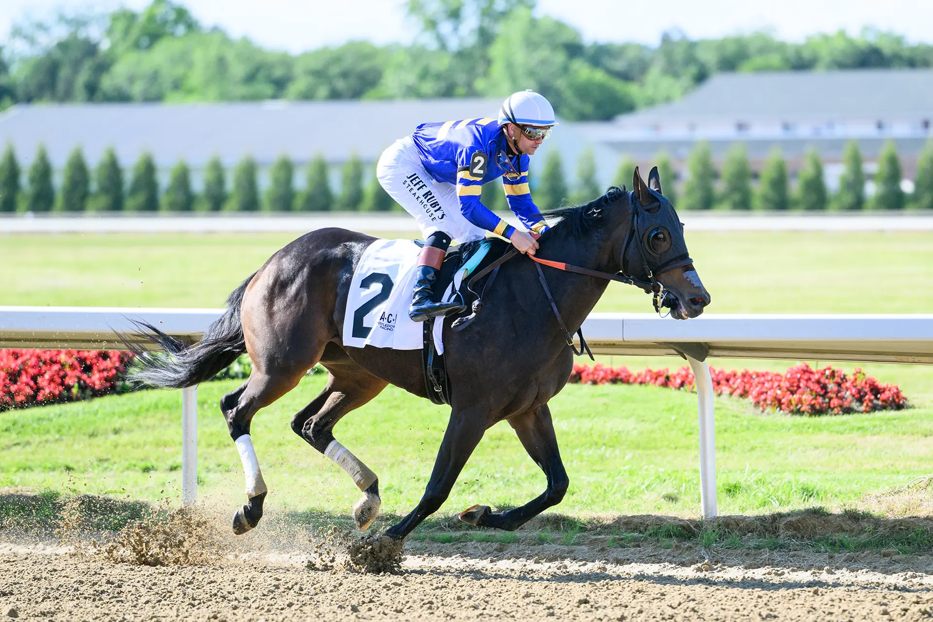 Nerazurri struts class with easy score in Lady Jacqueline