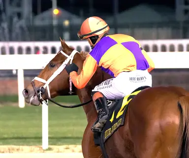 Kentucky Derby pedigree profile: Further Ado