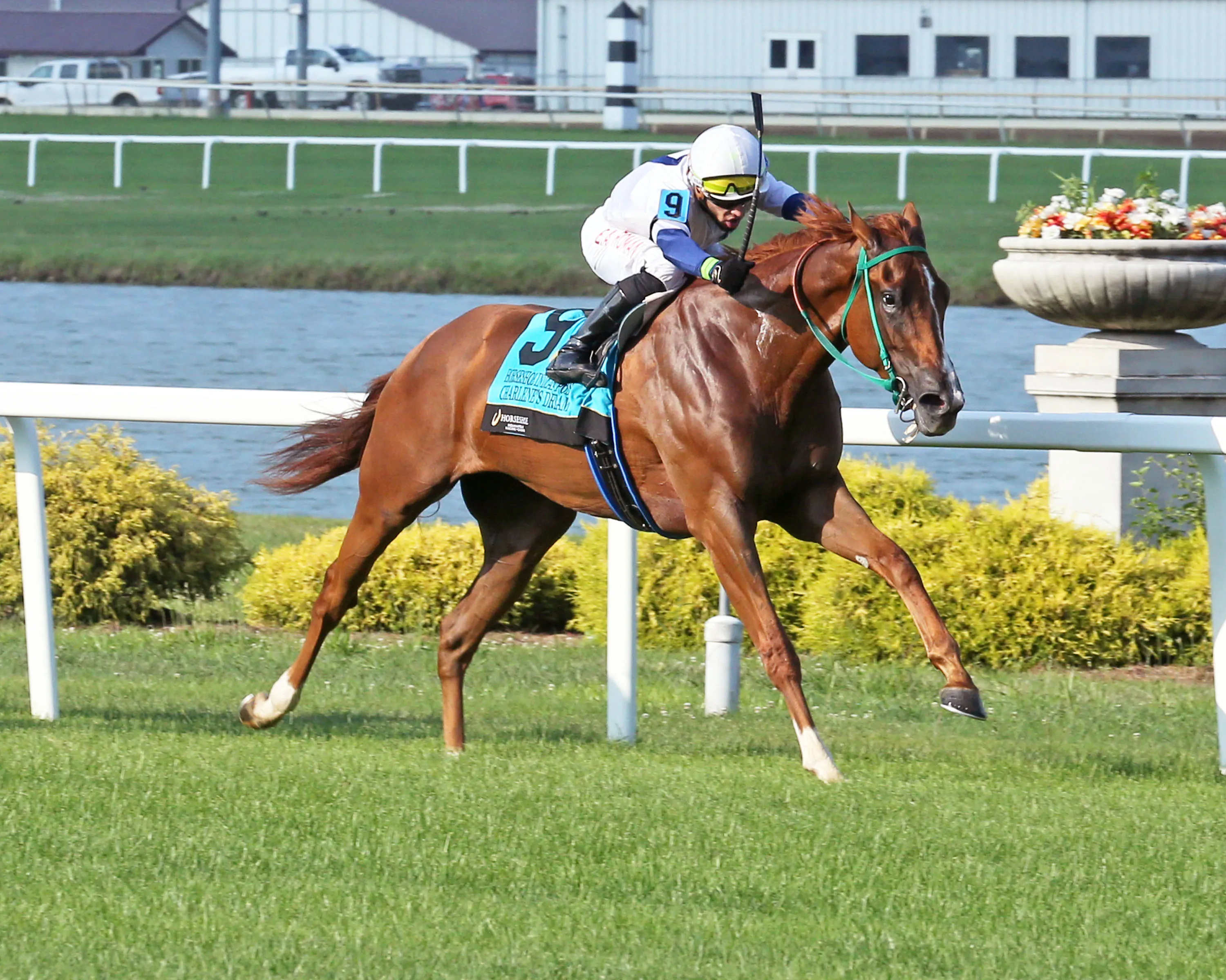 CHARLENE'S DREAM - Horseshoe Indianapolis - 15th Running - 07-13-24 - R04 - Horseshoe Indiana - Finish 02 - Sammantha Pagels.jpg