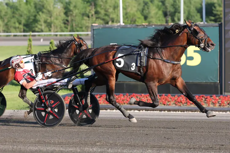 Neighver Punt 6-13-26