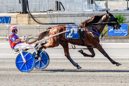 Top Flight Champion 7-1-26