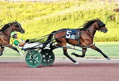 Pocono:  Callahan pilots two out of three Pennsylvania Sire Stakes victors