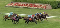 Saratoga: Handle up on opening weekend; CAW play plummets