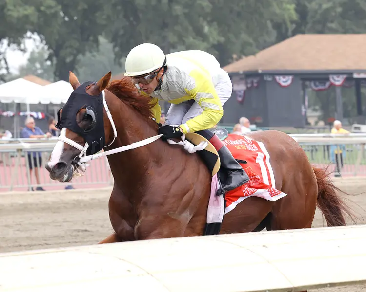 Ponder and Dream01.7.18.26.EQUI-PHOTO