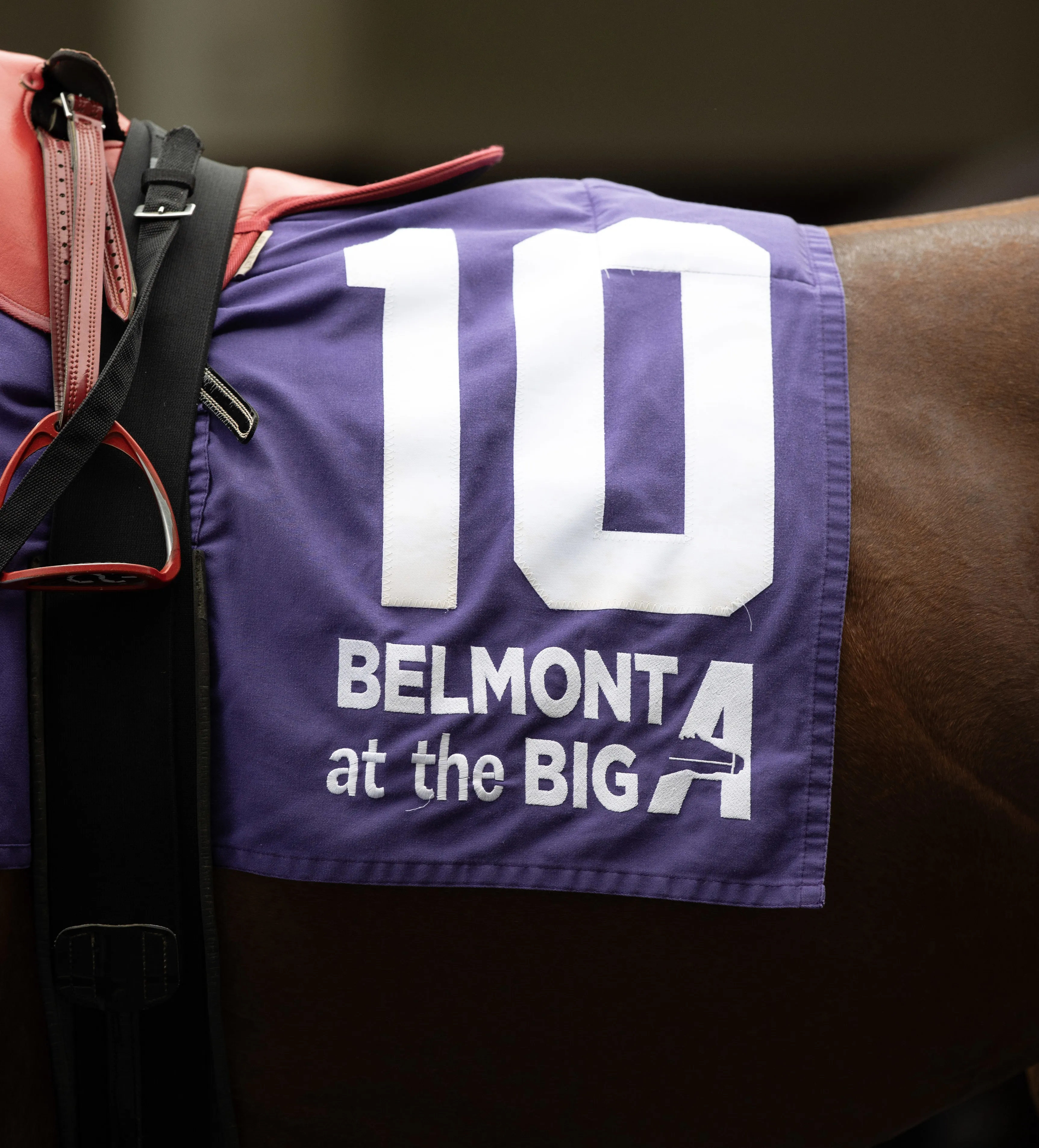 Belmont at the Big A.Aqueduct.Scenic.Saddlecloth.6-26-26.BL