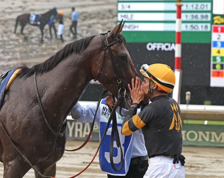 Baby Vino14.7.18.26.EQUI-PHOTO