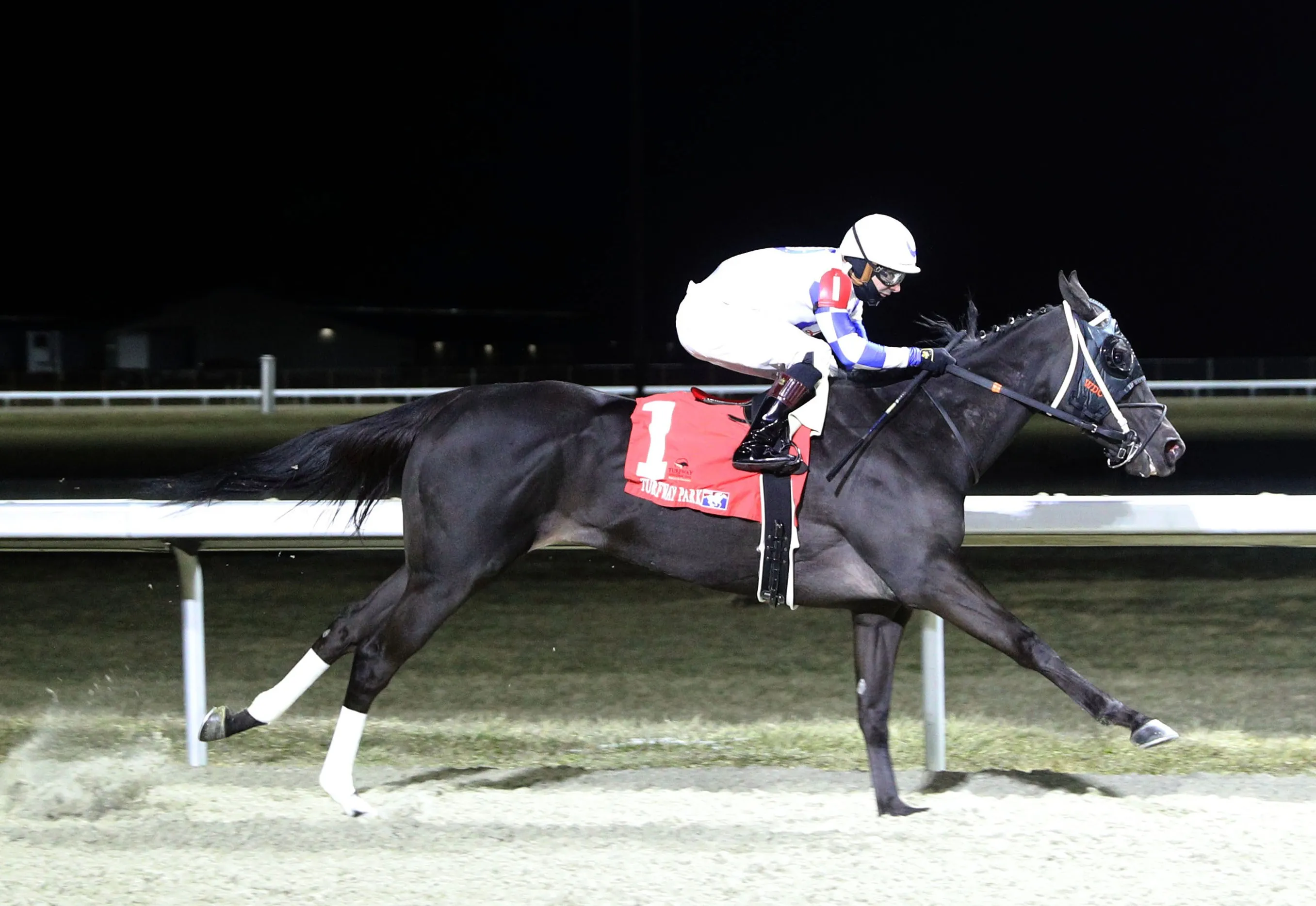 Takemetothebeach wins at TP Feb 14 2025