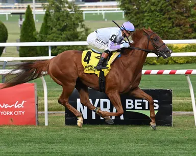 Big Destroyer in My Frenchman to avoid stable conflict