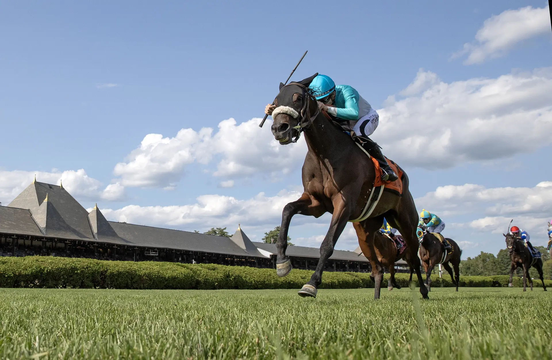 Cosmic Candy Girl upsets Suzie O'Cain in front-running fashion