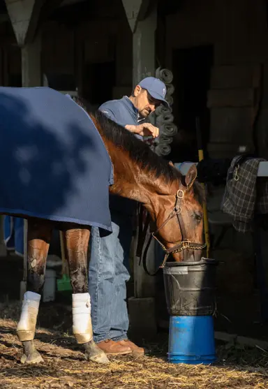 After 500th win, McCarthy makes plans for 3-year-olds