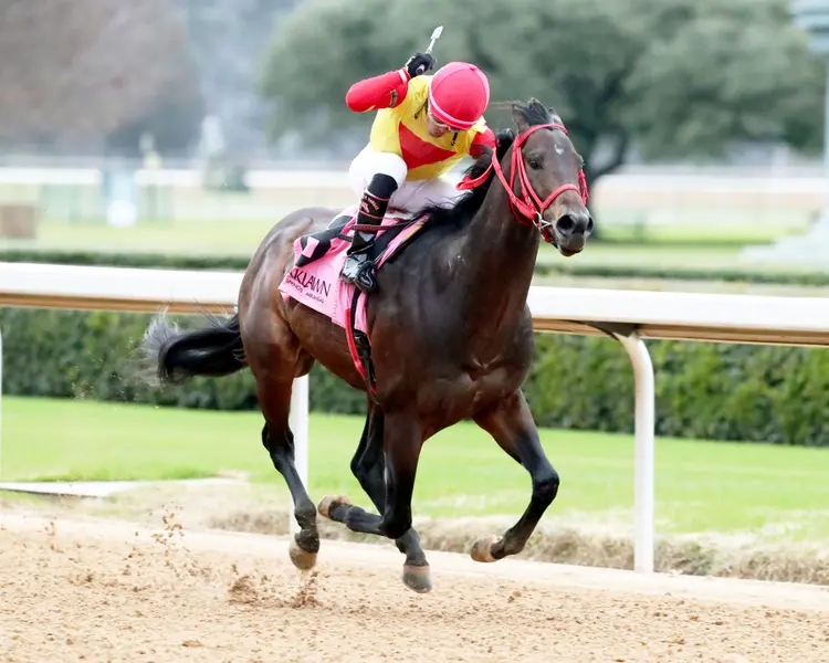 COAL BATTLE - The Smarty Jones Stakes - 01-04-25 - R09 - Oaklawn Park - Finish 02 - Renee Torbit.jpg