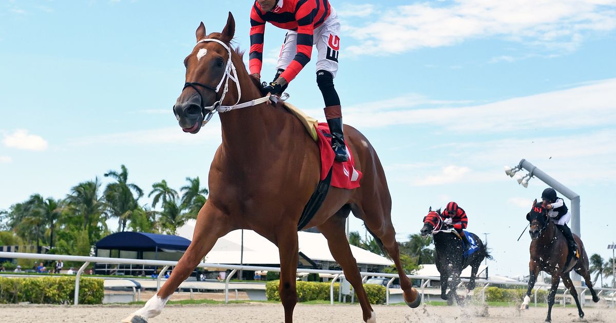 Orseno still optimistic as Rezasrolex goes in Pay Any Price