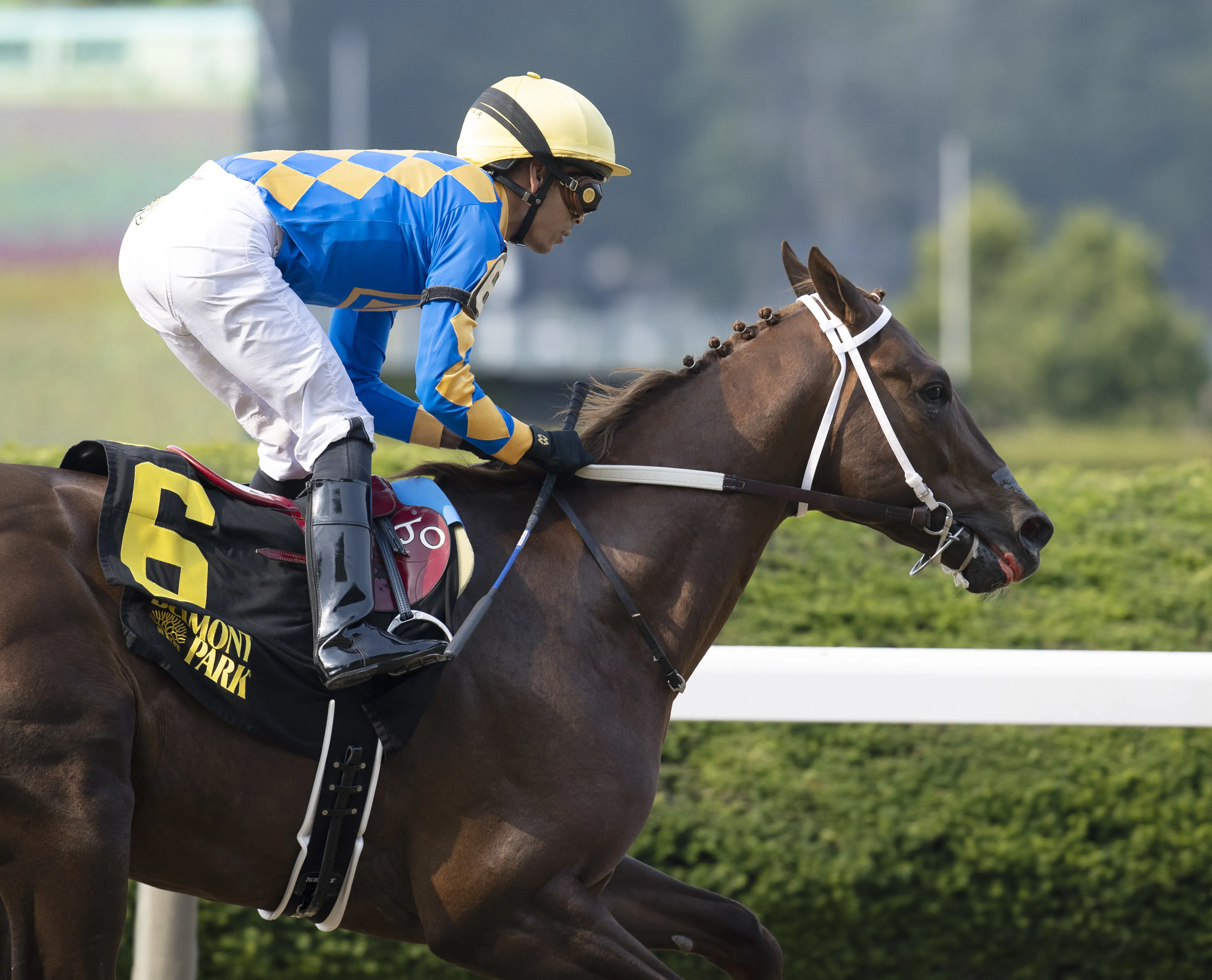 Gold Sweep takes Tremont at BEL June 11 2023