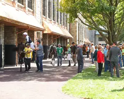 Keeneland Fall Meet to feature 22 stakes