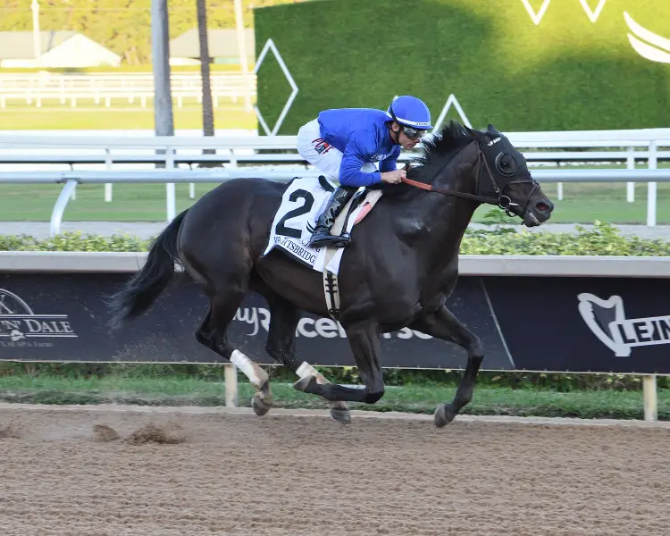 Knightsbridge the Mr Prospector credit Lauren King2.jpg