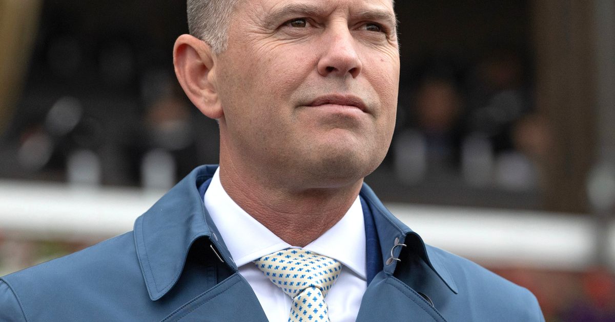 Brown, Pletcher, Joseph winless on dirt at the meet