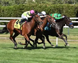 Nessuna Pagina survives foul claims, takes Spectacular Bid by nose