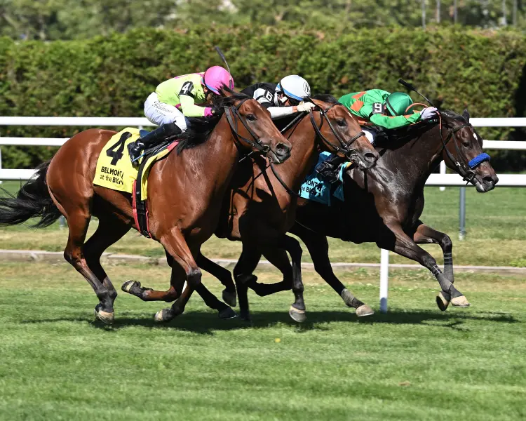 nessuna pagina the spectacular bid2