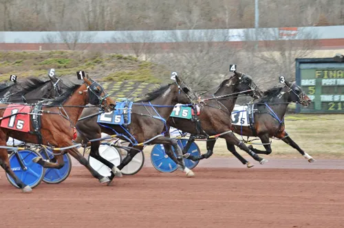 Mister Daytona N 3-19-23