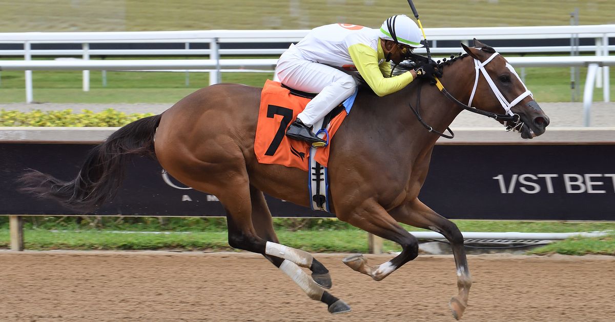 Joseph, Orseno duke it out with multiple Azalea entrants