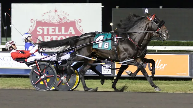 Mirage Hanover_wb101924r6 _Lisa.jpg